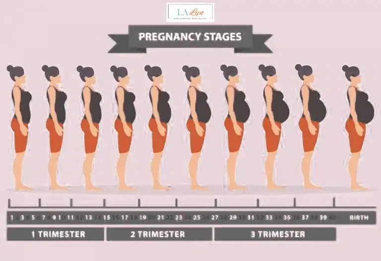 First Trimester (Weeks 1–12): Early Changes You Might Not Notice Upton Park